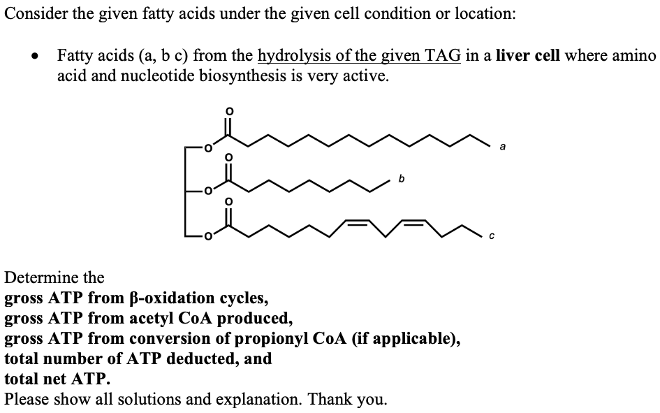Consider the given fatty acids under the given cell condition or location:
Fatty acids (a, b c) from the hydrolysis of the given TAG in a liver cell where amino
acid and nucleotide biosynthesis is very active.
a
Determine the
gross ATP from B-oxidation cycles,
gross ATP from acetyl CoA produced,
gross ATP from conversion of propionyl CoA (if applicable),
total number of ATP deducted, and
total net ATP.
Please show all solutions and explanation. Thank you.
