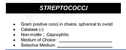STREPTOCOCCI
Gram positive cocci in chains, spherical to ovoid
Catalase (-)
Non-motile ; Capnophilic
Medium of Choice :
Selective Medium:
