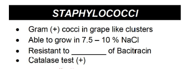 STAPHYLOCOСІ
Gram (+) cocci in grape like clusters
Able to grow in 7.5 – 10 % NaCI
Resistant to
of Bacitracin
Catalase test (+)
