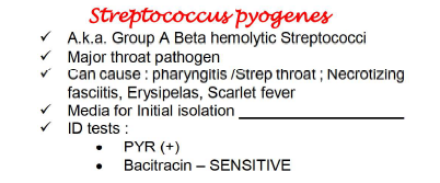 Streptococcus pyogenes
V A.k.a. Group A Beta hemolytic Streptococci
v Major throat pathogen
v Can cause : pharyngitis /Strep throat ; Necrotizing
fasciitis, Erysipelas, Scarlet fever
Media for Initial isolation
ID tests :
PYR (+)
Bacitracin – SENSITIVE
