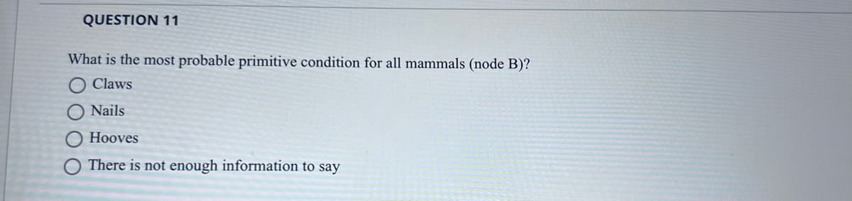 QUESTION 11
What is the most probable primitive condition for all mammals (node B)?
Claws
Nails
Hooves
There is not enough information to say
