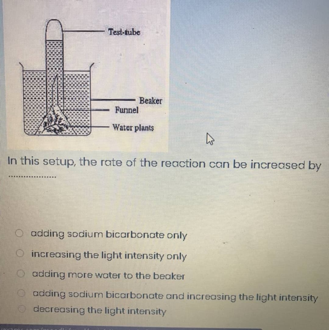 Test-tube
Beaker
Funnel
Water plants
In this setup, the rate of the reaction can be increased by
O adding sodium bicarbonate only
increasing the light intensity only
O adding more water to the beaker
O adding sodium bicarbonate and increasing the light intensity
decreasing the light intensity
