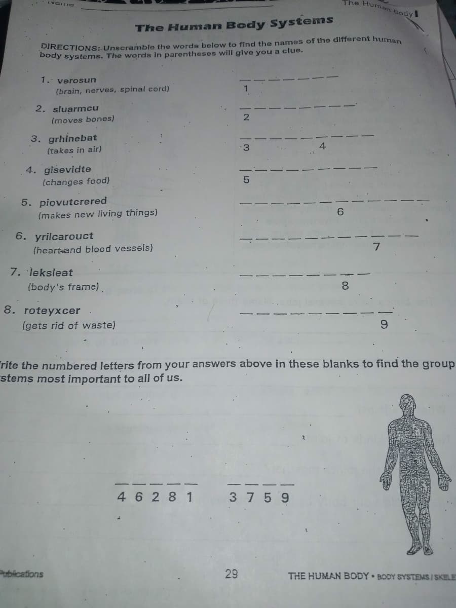 The Humtan Body
The Human Body Systems
DIRECTIONS: Unscramble the words below to find the names of the different human
body systems. The words in parentheses will give you a clue.
1. verosun
1
(brain, nerves, spinal cord)
2. sluarmcu
(moves bones)
3. grhinebat
3.
(takes in air)
4. gisevidte
(changes food)
5. piovutcrered
(makes new living things)
6. yrilcarouct
(heart and blood vessels)
7. leksleat
(body's frame).
8. roteyxcer
(gets rid of waste)
rite the numbered letters from your answers above in these blanks to find the group
stems most important to all of us.
4 6 2 8 1 3 7 59
Publications
29
THE HUMAN BODY BODY SYSTEMS/SKELE
