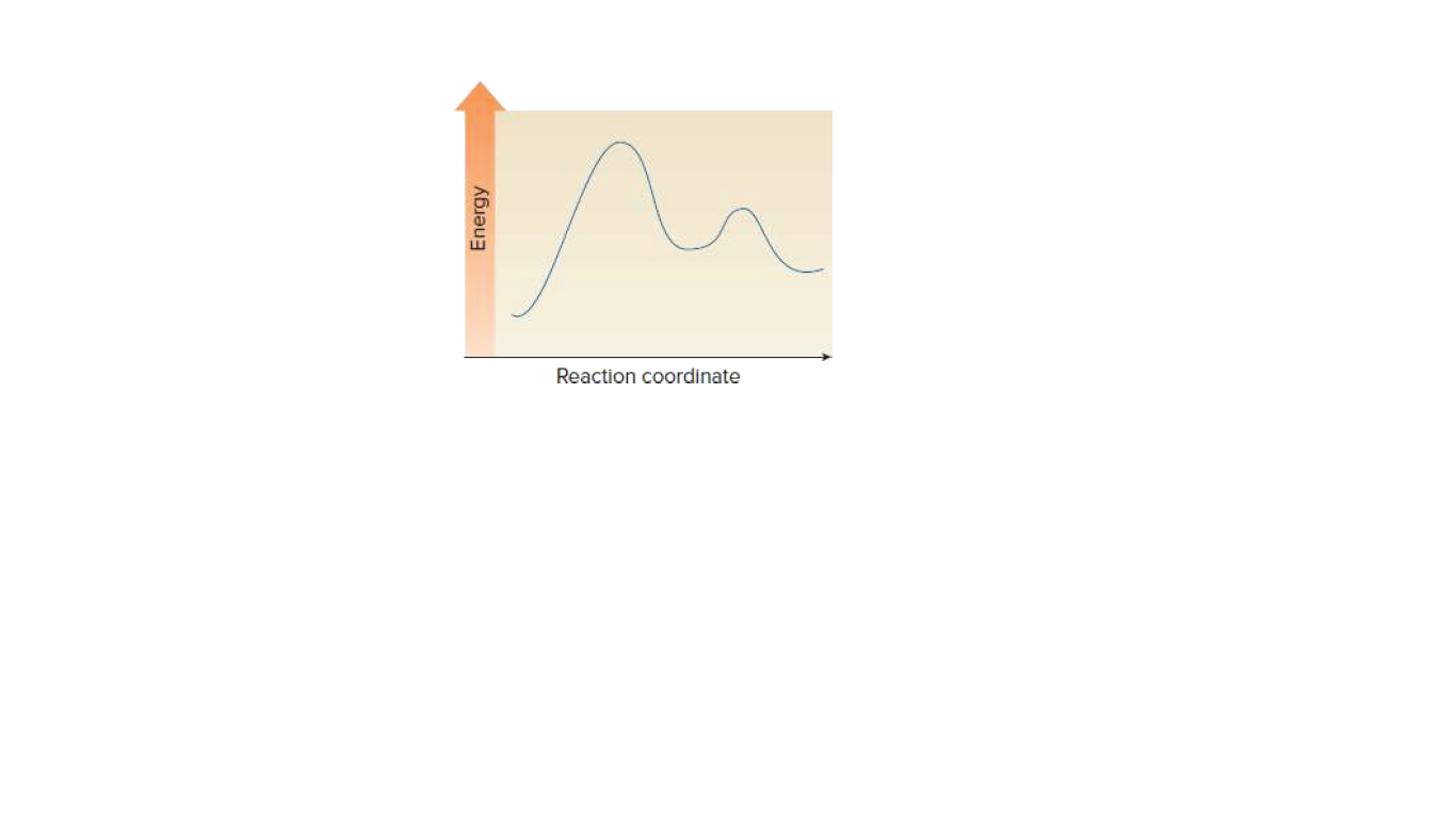 Reaction coordinate
Energy
