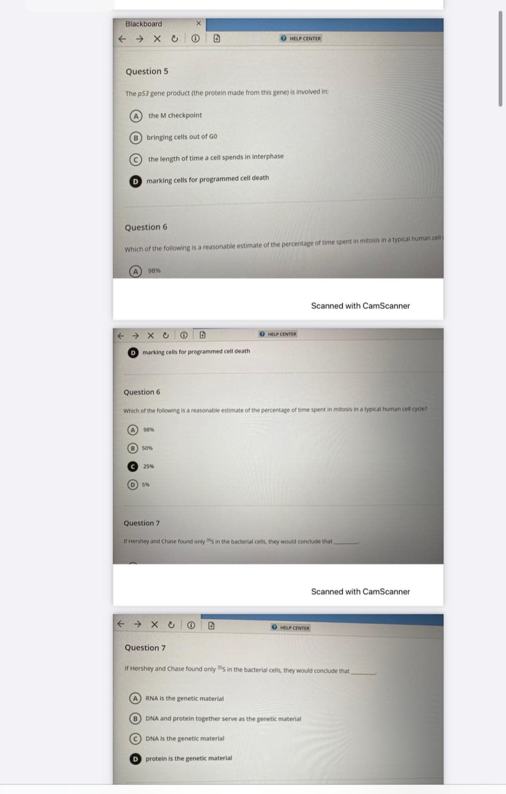 Blackboard
+ > x U O
O HELP CENTER
Question 5
The p53 gene product (the protein made from this gene) is involved in:
A
the M checkpoint
B) bringing cells out of GO
c the length of time a cell spends in interphase
D marking cells for programmed cell death
Question 6
Which of the following is a reasonable estimate of the percentage of time spent in mitosis in a typical human cell
98%
Scanned with CamScanner
O HELP CENTER
D marking cells for programmed cell death
Question 6
Which of the following is a reasonable estimate of the percentage of time spent in mitosis in a typical human cell cycle?
98%
B
50%
25%
D 5%
Question 7
If Hershey and Chase found only 355 in the bacterial cells, they would conclude that
Scanned with CamScanner
O HELP CENTER
Question 7
If Hershey and Chase found only 3s in the bacterial cells, they would conclude that
A RNA is the genetic material
B) DNA and protein together serve as the genetic material
C DNA is the genetic material
D protein is the genetic material

