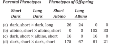 Parental Phenotypes
Phenotypes of Offspring
Short
Long
Short
Long
Dark
Dark
Albino
Albino
26
(a) dark, short x dark, long
(b) albino, short x albino, short
(c) dark, short x albino, short
(d) dark, short x dark, short
24
102
33
16
16
175
67
61
21
