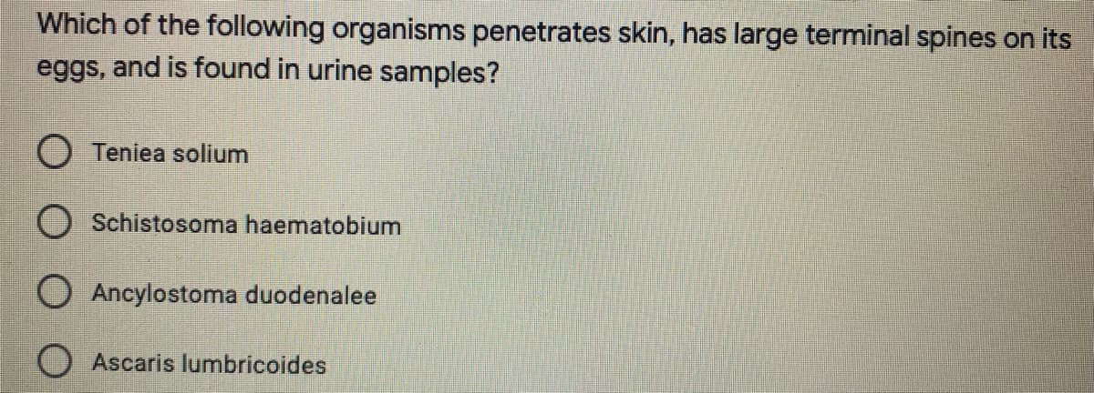 Which of the following organisms penetrates skin, has large terminal spines on its
eggs, and is found in urine samples?
O Teniea solium
Schistosoma haematobium
Ancylostoma duodenalee
O Ascaris lumbricoides
