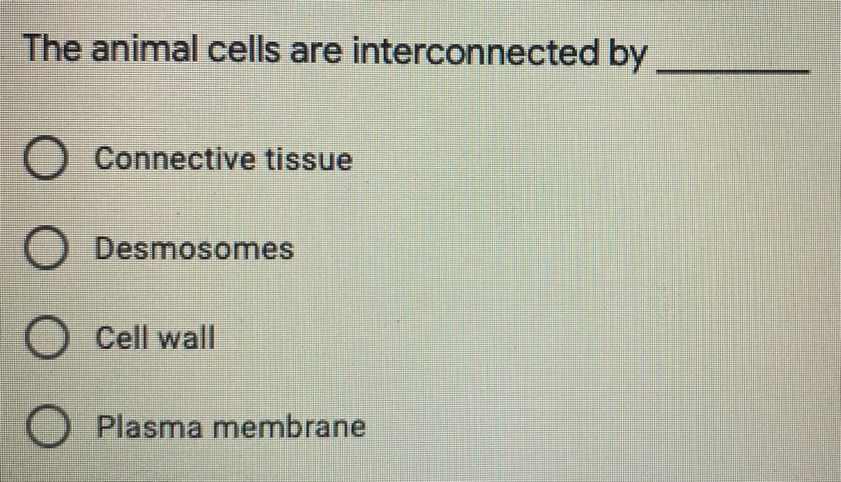 The animal cells are interconnected by
Connective tissue
Desmosomes
Cell wall
Plasma membrane
