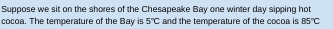 Suppose we sit on the shores of the Chesapeake Bay one winter day sipping hot
cocoa. The temperature of the Bay is 5°C and the temperature of the cocoa is 85°C
