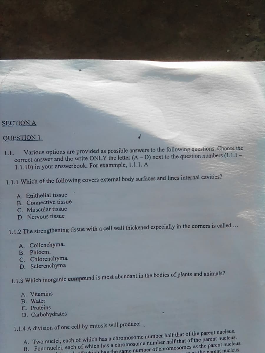 SECTION A
QUESTION 1.
Various options are provided as possible answers to the following questions. Choose the
correct answer and the write ONLY the letter (A-D) next to the question numbers (1.1.1-
1.1.10) in your answerbook. For exammple, 1.1.1. A
1.1.
1.1.1 Which of the following covers external body surfaces and lines internal cavities?
A. Epithelial tissue
B. Connective tissue
C. Muscular tissue
D. Nervous tissue
1.1.2 The strengthening tissue with a cell wall thickened especially in the corners is called ...
A. Collenchyma.
B. Phloem.
C. Chlorenchyma.
D. Sclerenchyma
1.1.3 Which inorganic compound is most abundant in the bodies of plants and animals?
A. Vitamins
B. Water
C. Protéins
D. Carbohydrates
1.1.4 A division of one cell by mitosis will produce:
A. Two nuclei, each of which has a chromosome number half that of the parent nucleus.
B. Four nuclei, each of which has a chromosome number half that of the parent nucleus.
f uhich has the same number of chromosomes as the parent nucleus.
nDc the narent nucleus.
