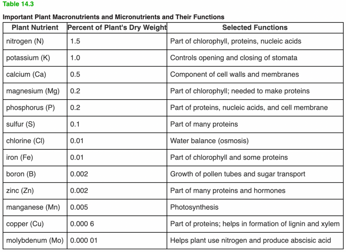 Table 14.3
Important Plant Macronutrients and Micronutrients and Their Functions
Plant Nutrient Percent of Plant's Dry Weight
Selected Functions
nitrogen (N)
1.5
Part of chlorophyll, proteins, nucleic acids
potassium (K)
1.0
Controls opening and closing of stomata
calcium (Ca)
0.5
Component of cell walls and membranes
magnesium (Mg) |0.2
Part of chlorophyll; needed to make proteins
phosphorus (P)
0.2
Part of proteins, nucleic acids, and cell membrane
sulfur (S)
0.1
Part of many proteins
chlorine (CI)
0.01
Water balance (osmosis)
iron (Fe)
0.01
Part of chlorophyll and some proteins
boron (B)
0.002
Growth of pollen tubes and sugar transport
zinc (Zn)
0.002
Part of many proteins and hormones
manganese (Mn)
0.005
Photosynthesis
copper (Cu)
0.000 6
Part of proteins; helps in formation of lignin and xylem
molybdenum (Mo) | 0.000 01
Helps plant use nitrogen and produce abscisic acid
