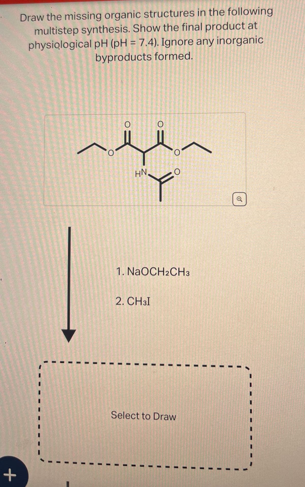 Draw the missing organic structures in the following
multistep synthesis. Show the final product at
physiological pH (pH = 7.4). Ignore any inorganic
byproducts formed.
+
0
O
HN
1. NaOCH2CH3
2. CH3I
Select to Draw