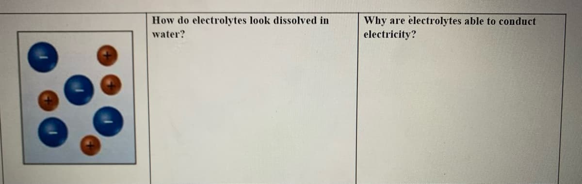 How do electrolytes look dissolved in
Why are
electrolytes able to conduct
water?
electricity?
