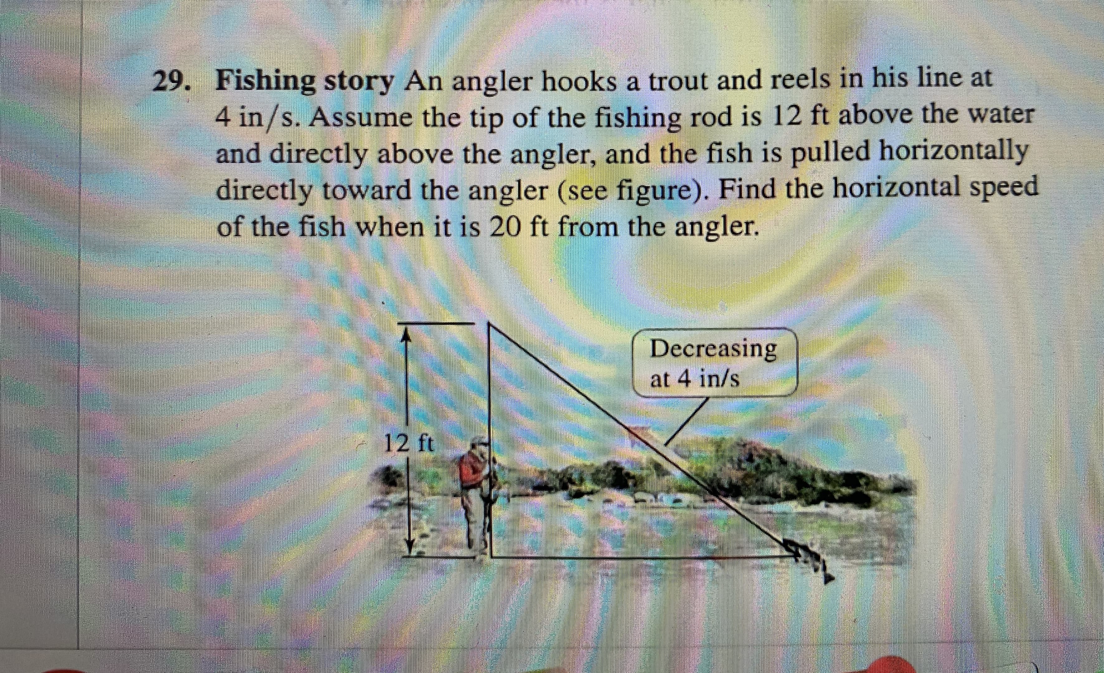 29. Fishing story An angler hooks a trout and reels in his line at
4 in/s. Assume the tip of the fishing rod is 12 ft above the water
and directly above the angler, and the fish is pulled horizontally
directly toward the angler (see figure). Find the horizontal speed
of the fish when it is 20 ft from the angler.
Decreasing
at 4 in/s
12 ft

