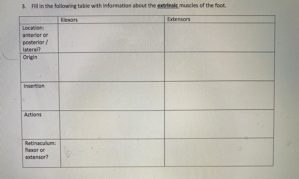 3. Fill in the following table with information about the extrinsic muscles of the foot.
Flexors
Extensors
Location:
anterior or
posterior/
lateral?
Origin
Insertion
Actions
Retinaculum:
flexor or
extensor?
