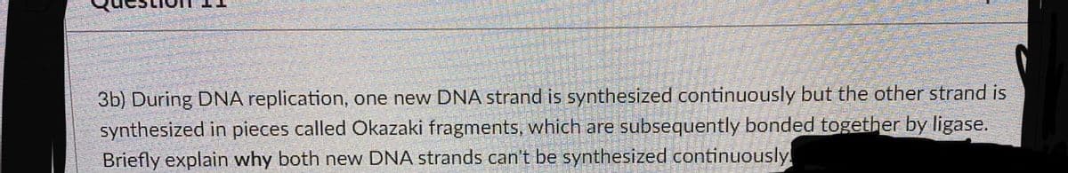 3b) During DNA replication, one new DNA strand is synthesized continuously but the other strand is
synthesized in pieces called Okazaki fragments, which are subsequently bonded together by ligase.
Briefly explain why both new DNA strands can't be synthesized continuously
