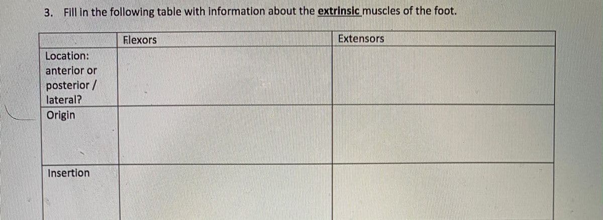 3. Fill in the following table with information about the extrinsic muscles of the foot.
Flexors
Extensors
Location:
anterior or
posterior/
lateral?
Origin
Insertion
