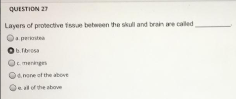 Layers of protective tissue between the skull and brain are called,
Oa. periostea
b. fibrosa
Oc meninges
d. none of the above
Oe. all of the above
