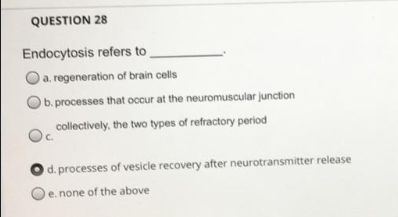 Endocytosis refers to
O
a. regeneration of brain cells
O b. processes that occur at the neuromuscular junction
collectively, the two types of refractory period
d. processes of vesicle recovery after neurotransmitter release
e. none of the above
