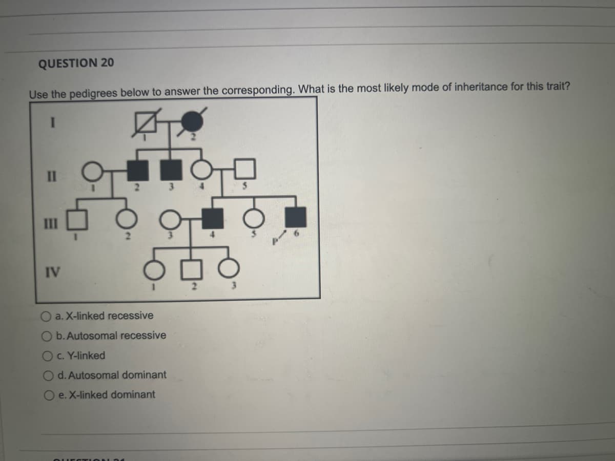 QUESTION 20
Use the pedigrees below to answer the corresponding. What is the most likely mode of inheritance for this trait?
III
IV
2
a. X-linked recessive
O b. Autosomal recessive
Oc. Y-linked
O d. Autosomal dominant
e. X-linked dominant
