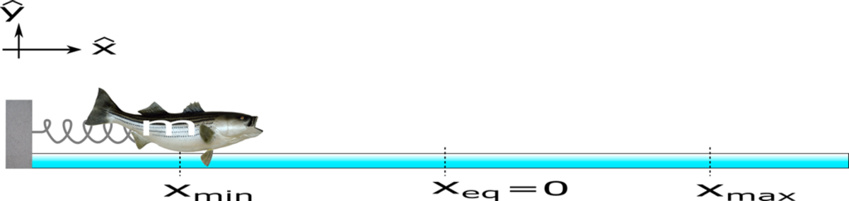Xmin
Xeq=0
Xmax
(X
