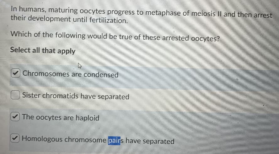 In humans, maturing oocytes progress to metaphase of meiosis Il and then arrest
their development until fertilization.
Which of the following would be true of these arrested oocytes?
Select all that apply
Chromosomes are condensed
Sister chromatids have separated
The oocytes are haploid
Homologous chromosome pairs have separated
