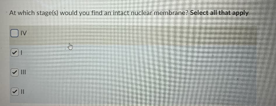At which stage(s) would you find an intact nuclear membrane? Select all that apply
OIV
II
II

