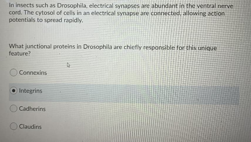 In insects such as Drosophila, electrical synapses are abundant in the ventral nerve
cord. The cytosol of cells in an electrical synapse are connected, allowing action
potentials to spread rapidly.
What junctional proteins in Drosophila are chiefly responsible for this unique
feature?
Connexins
Integrins
Cadherins
Claudins
