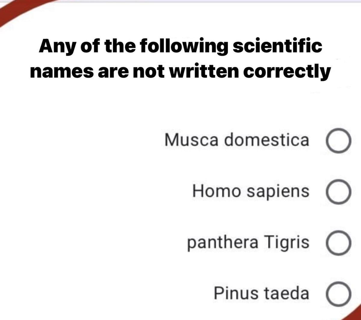 Any of the following scientific
names are not written correctly
Musca domestica
Homo sapiens
panthera Tigris
Pinus taeda O
