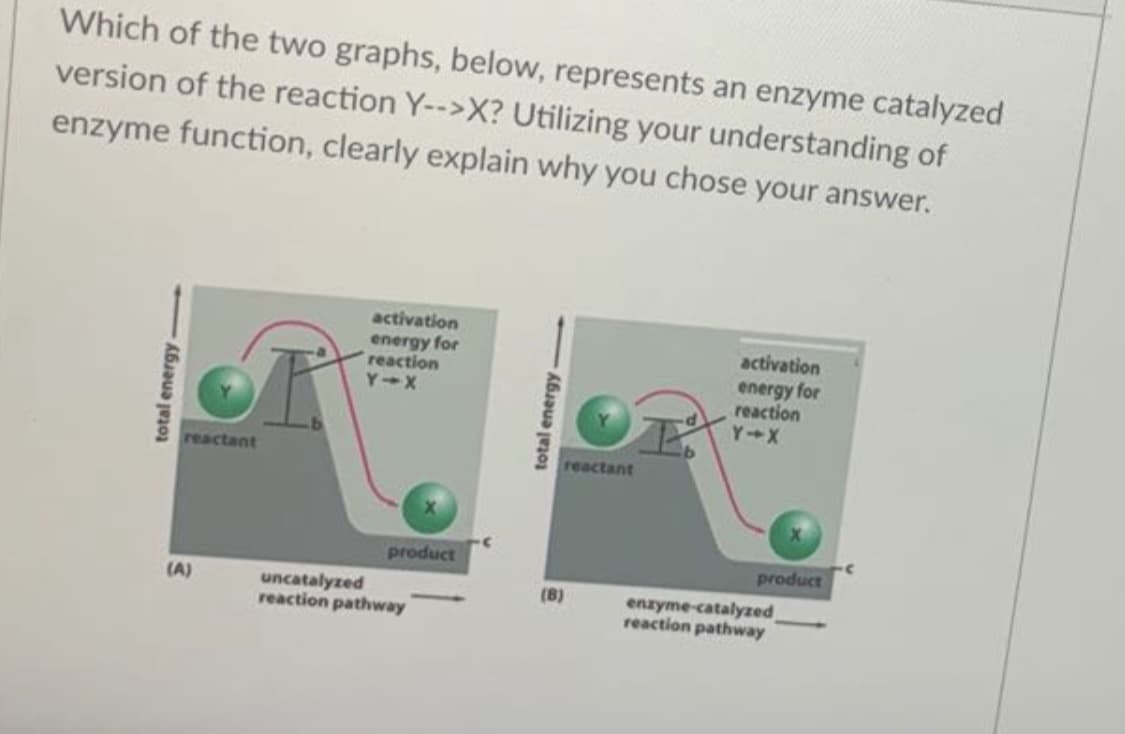 Which of the two graphs, below, represents an enzyme catalyzed
version of the reaction Y-->X? Utilizing your understanding of
enzyme function, clearly explain why you chose your answer.
activation
energy for
reaction
Y-X
activation
energy for
reaction
Y X
reactant
reactant
product
product
(A)
uncatalyzed
reaction pathway
enzyme-catalyzed
reaction pathway
(8)
total energy-
total energy
