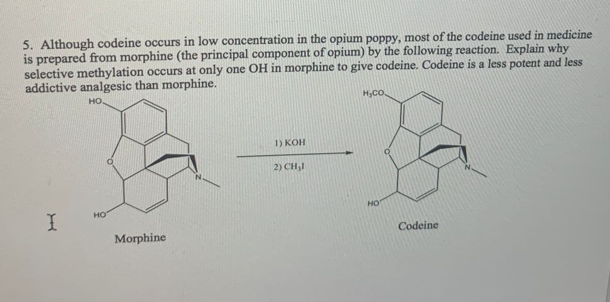 5. Although codeine occurs in low concentration in the opium poppy, most of the codeine used in medicine
is prepared from morphine (the principal component of opium) by the following reaction. Explain why
selective methylation occurs at only one OH in morphine to give codeine. Codeine is a less potent and less
addictive analgesic than morphine.
HO,
H3CO.
1) KOH
2) CH;I
N.
но
HO
Morphine
Codeine
