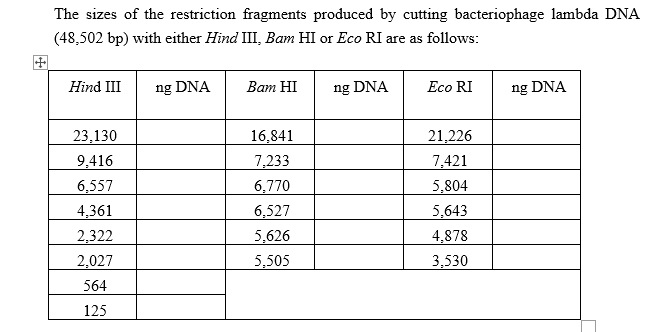The sizes of the restriction fragments produced by cutting bacteriophage lambda DNA
(48,502 bp) with either Hind III, Bam HI or Eco RI are as follows:
田
Hind III
ng DNA
Ват HI
ng DNA
Eco RI
ng DNA
23,130
16,841
21,226
9,416
7,233
7,421
6,557
6,770
5,804
4,361
6,527
5,643
2,322
5,626
4,878
2,027
5,505
3,530
564
125

