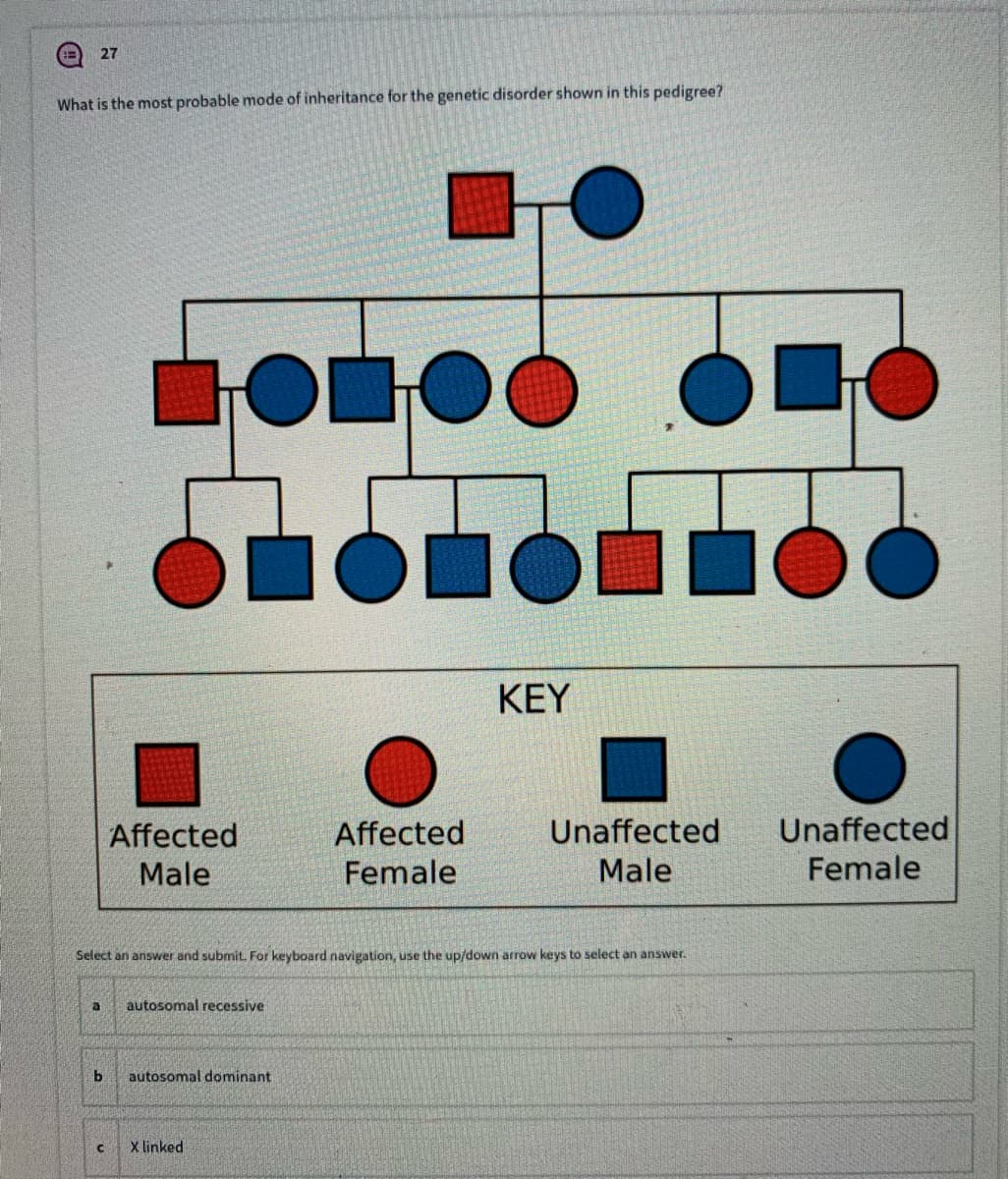 27
What is the most probable mode of inheritance for the genetic disorder shown in this pedigree?
KEY
Affected
Affected
Unaffected
Unaffected
Male
Female
Male
Female
Select an answer and submit. For keyboard navigation, use the up/down arrow keys to select an answer.
autosomal recessive
b
autosomal dominant
X linked
