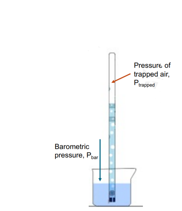 Pressure of
trapped air,
Ptrapped
Barometric
pressure, Pbar
