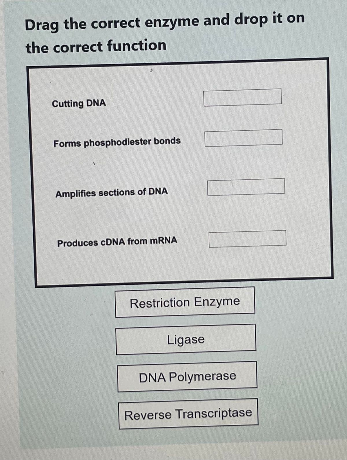 Drag the correct enzyme and drop it on
the correct function
Cutting DNA
Forms phosphodiester bonds
Amplifies sections of DNA
Produces cDNA from mRNA
Restriction Enzyme
Ligase
DNA Polymerase
Reverse Transcriptase