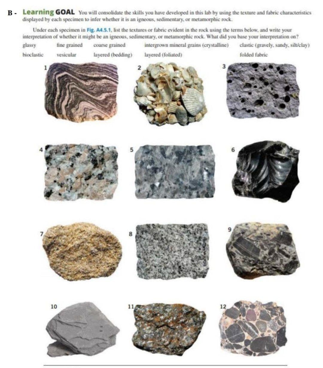 B - Learning GOAL You will consolidate the skills you have developed in this lab by using the texture and fabric characteristics
đisplayed by each specimen to infer whether it is an igneous, sedimentary, or metamorphic rock.
Under each specimen in Fig. A4.5.1, list the textures or fabric evident in the rock using the terms below, and write your
interpretation of whether it might be an igneous, sedimentary, or metamorphic rock. What did you base your interpretation on?
glassy
fine grained
coarse grained
intergrown mineral grains (crystalline)
clastic (gravely, sandy, siluclay)
bioclastic
vesicular
layered (bedding)
layered (foliated)
folded fabric
10
11
12
