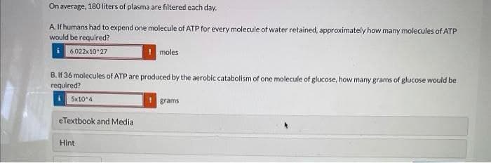 On average, 180 liters of plasma are filtered each day.
A If humans had to expend one molecule of ATP for every molecule of water retained, approximately how many molecules of ATP
would be required?
6.022x10^27
moles
B. If 36 molecules of ATP are produced by the aerobic catabolism of one molecule of glucose, how many grams of glucose would be
required?
Sw10 4
grams
eTextbook and Media
Hint
