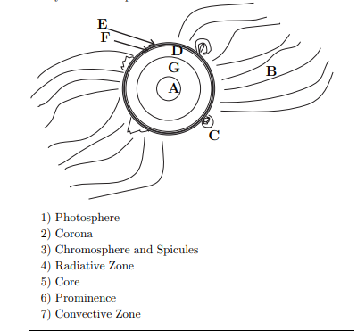 E
F
G
B
C
1) Photosphere
2) Corona
3) Chromosphere and Spicules
4) Radiative Zone
5) Core
6) Prominence
7) Convective Zone
