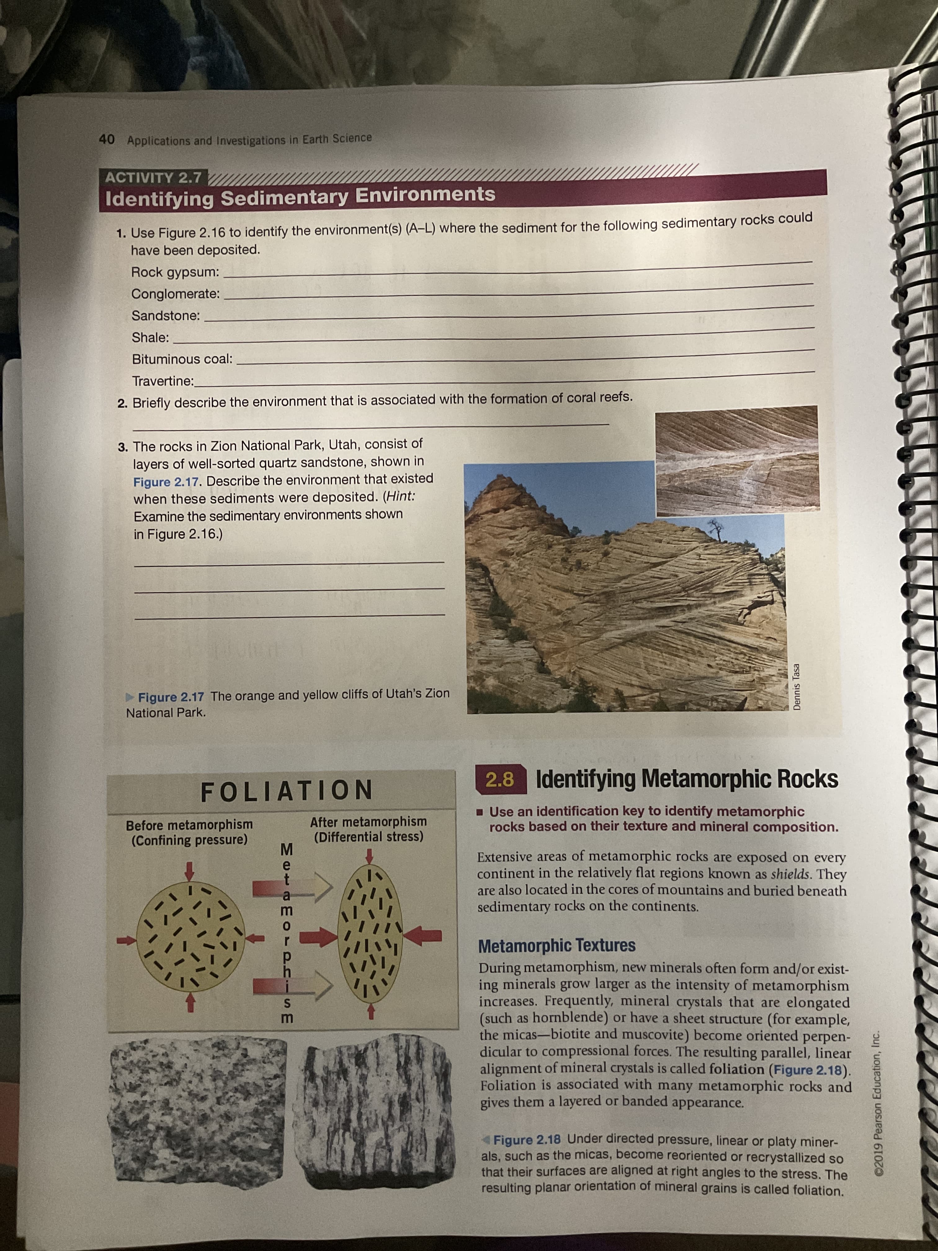 Matam OTPriE
Dennis Tasa
©2019 Pearson Education, Inc.
40 Applications and Investigations in Earth Science
ACTIVITY 2.7
Identifying Sedimentary Environments
1. Use Figure 2.16 to identify the environment(s) (A-L) where the sediment for the following sedimentary rocks could
have been deposited.
Rock gypsum:
Conglomerate:
Sandstone:
Shale:
Bituminous coal:
Travertine:
2. Briefly describe the environment that is associated with the formation of coral reefs.
3. The rocks in Zion National Park, Utah, consist of
layers of well-sorted quartz sandstone, shown in
Figure 2.17. Describe the environment that existed
when these sediments were deposited. (Hint:
Examine the sedimentary environments shown
in Figure 2.16.)
Figure 2.17 The orange and yellow cliffs of Utah's Zion
National Park.
FOLIATION
2.8 Identifying Metamorphic Rocks
Before metamorphism
(Confining pressure)
After metamorphism
(Differential stress)
- Use an identification key to identify metamorphic
rocks based on their texture and mineral composition.
Extensive areas of metamorphic rocks are exposed on every
continent in the relatively flat regions known as shields. They
are also located in the cores of mountains and buried beneath
sedimentary rocks on the continents.
Metamorphic Textures
During metamorphism, new minerals often form and/or exist-
ing minerals grow larger as the intensity of metamorphism
increases. Frequently, mineral crystals that are elongated
(such as hornblende) or have a sheet structure (for example,
the micas-biotite and muscovite) become oriented perpen-
dicular to compressional forces. The resulting parallel, linear
alignment of mineral crystals is called foliation (Figure 2.18).
Foliation is associated with many metamorphic rocks and
gives them a layered or banded appearance.
Figure 2.18 Under directed pressure, linear or platy miner-
als, such as the micas, become reoriented or recrystallized so
that their surfaces are aligned at right angles to the stress. The
resulting planar orientation of mineral grains is called foliation.
