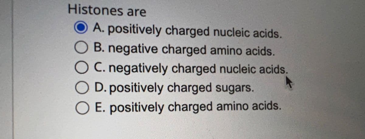 Histones are
A. positively charged nucleic acids.
B. negative charged amino acids.
C. negatively charged nucleic acids.
O D. positively charged sugars.
O E. positively charged amino acids.