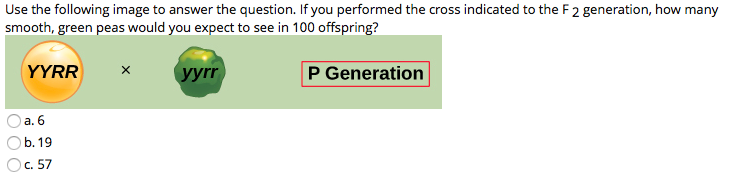 Use the following image to answer the question. If you performed the cross indicated to the F 2 generation, how many
smooth, green peas would you expect to see in 100 offspring?
YYRR
yyrr
P Generation
а. 6
Оb.19
Oc. 57
