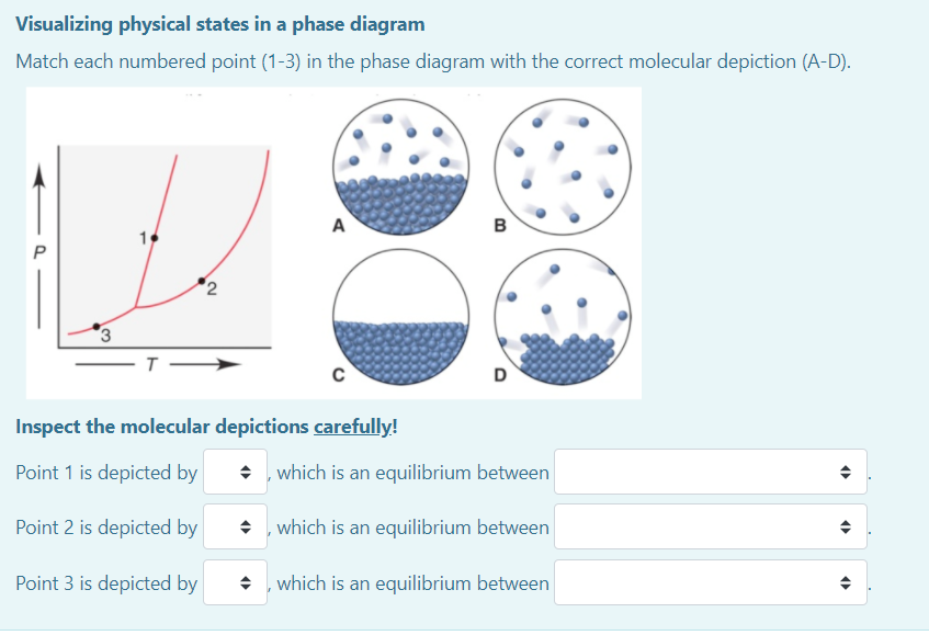 Visualizing physical states in a phase diagram
Match each numbered point (1-3) in the phase diagram with the correct molecular depiction (A-D).
A
P
3
т —
D
Inspect the molecular depictions carefully!
Point 1 is depicted by
+ , which is an equilibrium between
Point 2 is depicted by
+ , which is an equilibrium between
Point 3 is depicted by
which is an equilibrium between
