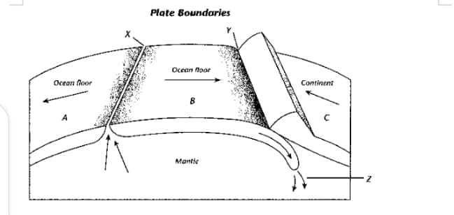 Plate Boundaries
Ocean loor
Ocean floor
Continent
Mantie
