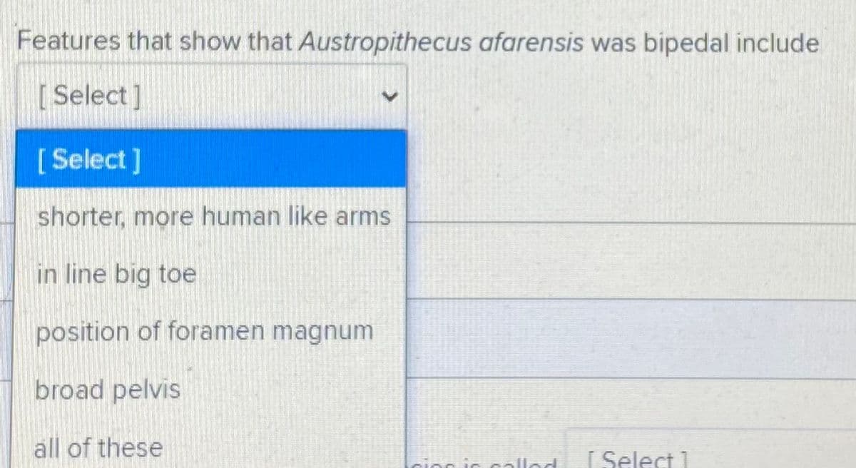 Features that show that Austropithecus afarensis was bipedal include
[ Select ]
[ Select]
shorter, more human like arms
in line big toe
position of foramen magnum
broad pelvis
all of these
[ Select 1
