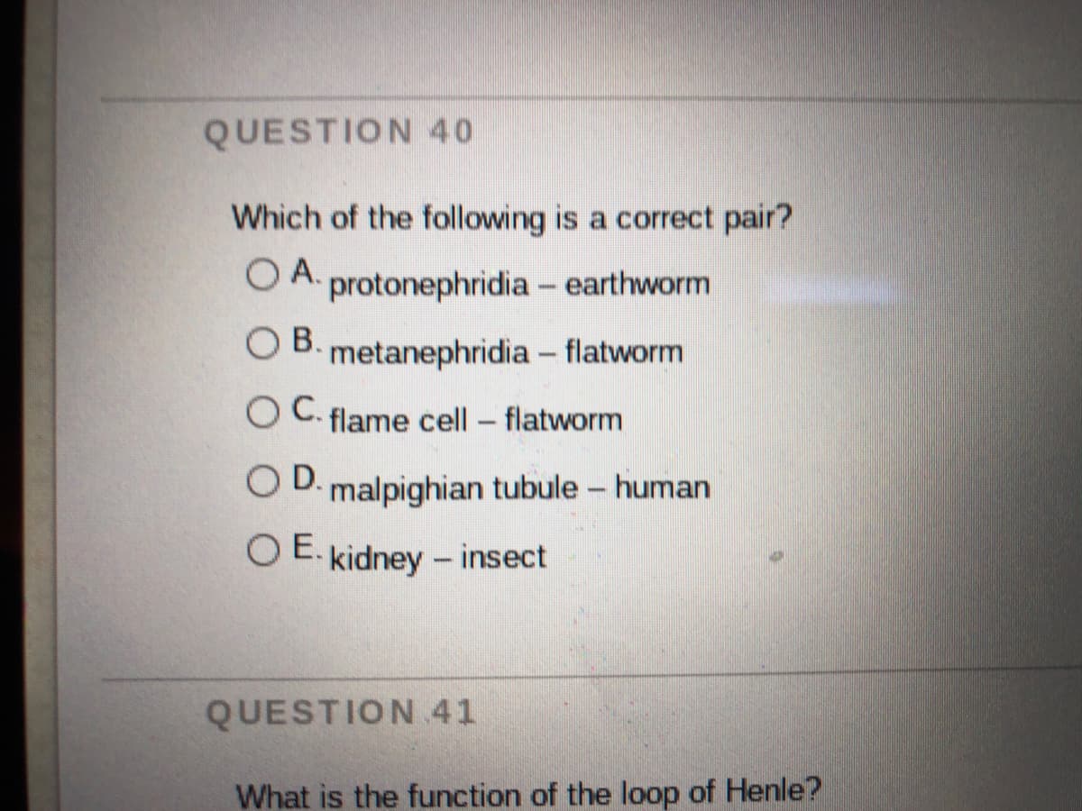 QUESTION 40
Which of the following is a correct pair?
OA.
O A. protonephridia - earthworm
OB.
metanephridia - flatworm
O C. flame cell - flatworm
O D. malpighian tubule - human
O E. kidney - insect
QUESTION 41
What is the function of the loop of Henle?
