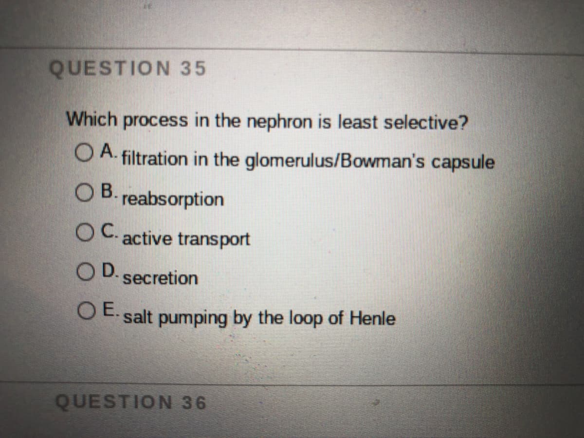 QUESTION 35
Which process in the nephron is least selective?
O A. filtration in the glomerulus/Bowman's capsule
O B.
reabsorption
OC.
active transport
O D. secretion
O E.
O E. salt pumping by the loop of Henle
QUESTION 36
