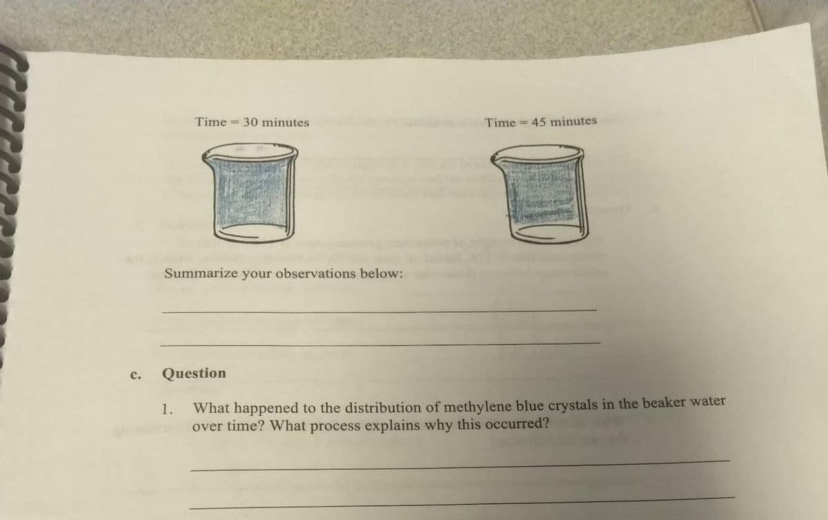 C.
Time 30 minutes
Summarize your observations below:
Question
1.
Time = 45 minutes
What happened to the distribution of methylene blue crystals in the beaker water
over time? What process explains why this occurred?