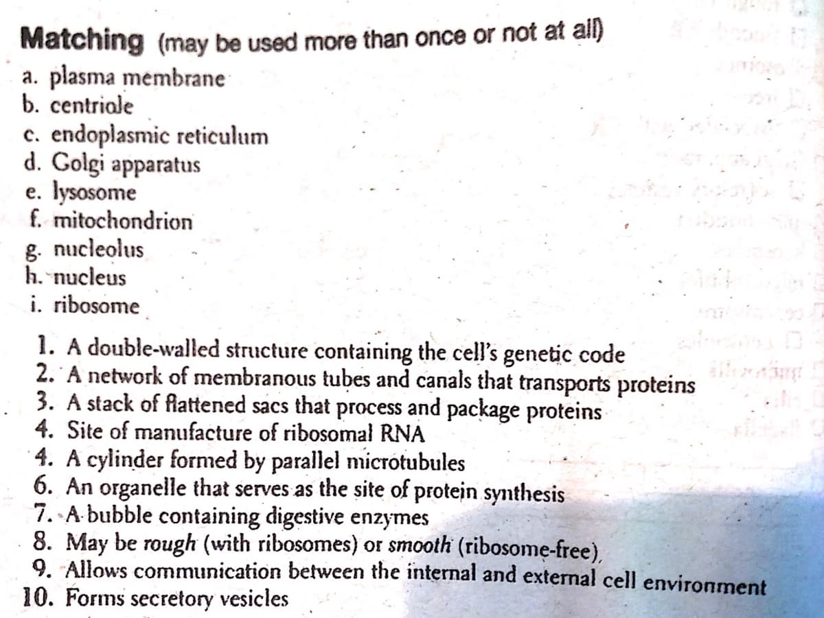 Matching (may be used more than once or not at all)
a. plasma membrane
b. centriale
c. endoplasmic reticulum
d. Golgi apparatus
e. lysosome
f. mitochondrion
g. nucleolus
h. nucleus
i. ribosome
1. A double-walled structure containing the cell's genetic code
2. A network of membranous tubes and canals that transports proteins
3. A stack of flattened sacs that process and package proteins
4. Site of manufacture of ribosomal RNA
Shooting
4. A cylinder formed by parallel microtubules
6. An organelle that serves as the site of protein synthesis
7. A bubble containing digestive enzymes
8. May be rough (with ribosomes) or smooth (ribosome-free),
9. Allows communication between the internal and external cell environment
10. Forms secretory vesicles