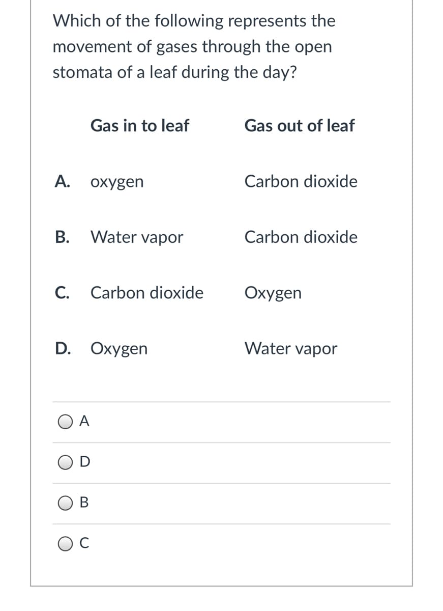 Which of the following represents the
movement of gases through the open
stomata of a leaf during the day?
Gas in to leaf
Gas out of leaf
А.
охуgen
Carbon dioxide
В.
Water vapor
Carbon dioxide
C.
Carbon dioxide
Oxygen
D. Oxygen
Water vapor
A
D
O B
