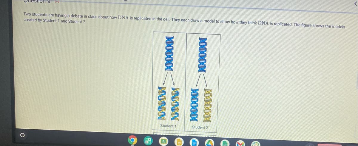6 Uonsanò
Two students are having a debate in class about how DNA is replicated in the cell. They each draw a model to show how they think DNA is replicated. The figure shows the models
created by Student 1 and Student 2.
Student 1
Student 2
